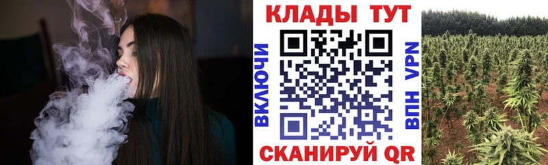 Купить закладку Cocaine  МЕФ  АМФ  Гашиш  Кирово-Чепецк